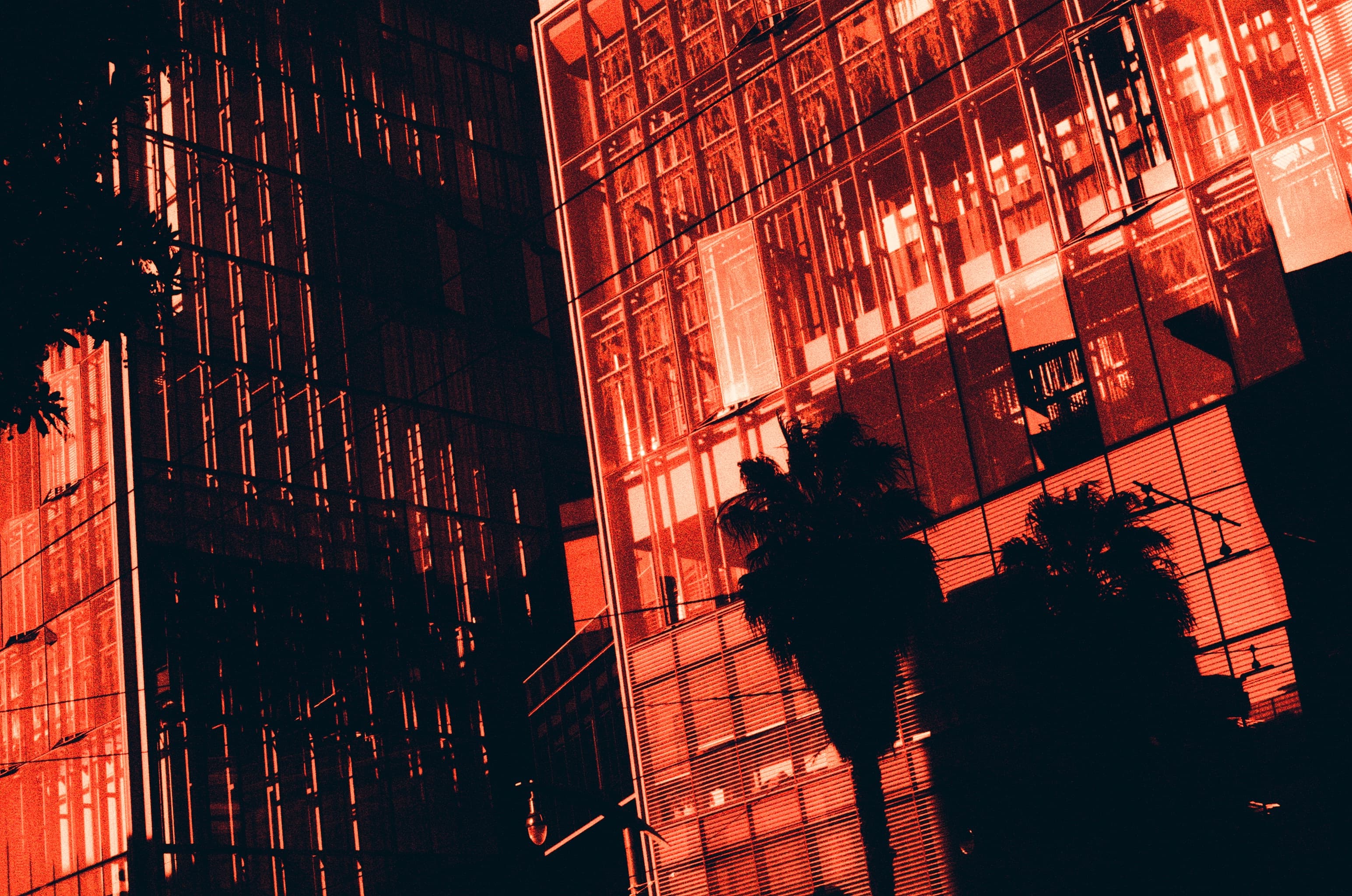 City buildings and palm trees photographed in red and black
